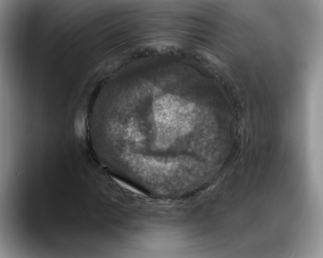 X0000088081014200706081725