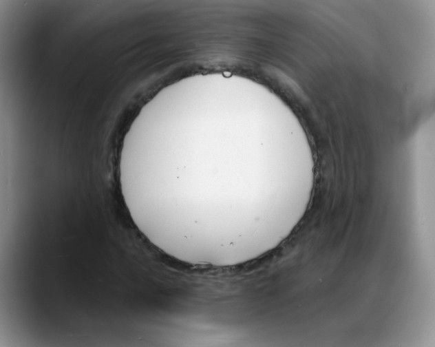 X0000088081016200706081725