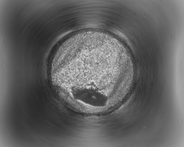 X0000088081019200706081725