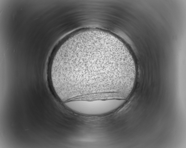 X0000088081020200706081725
