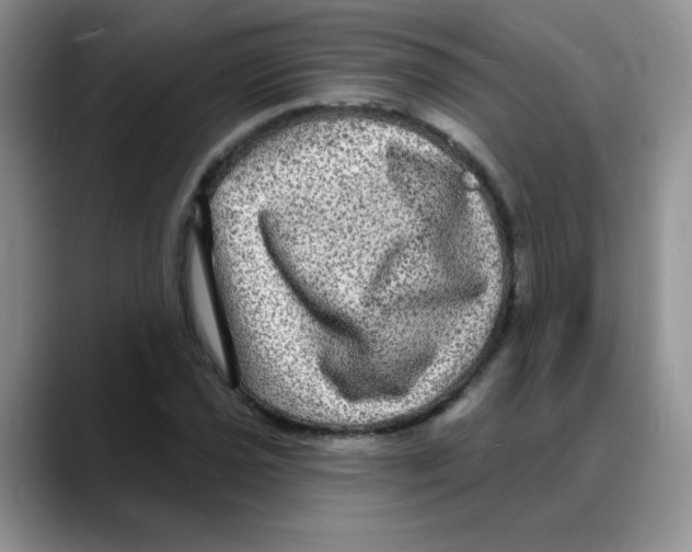 X0000088081021200706081725