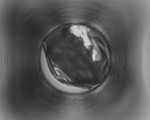 X0000088081025200706081725