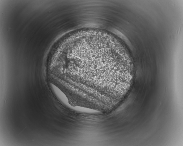 X0000088081027200706081725