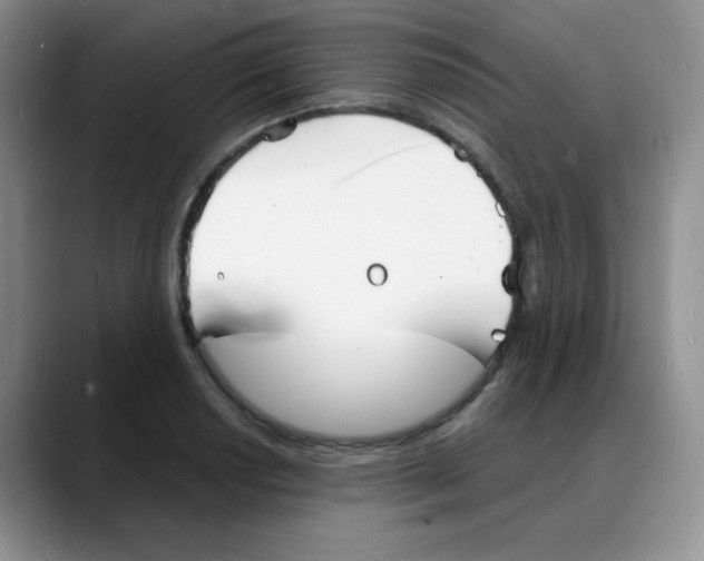 X0000088081034200706081725