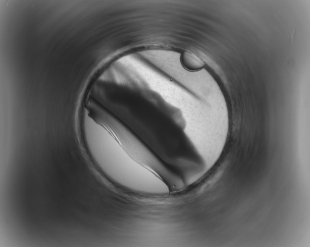 X0000088081037200706081725