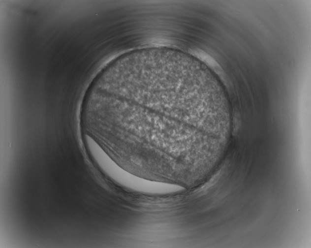 X0000088081039200706081725