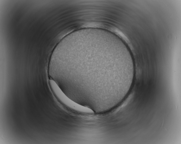 X0000088081041200706081725
