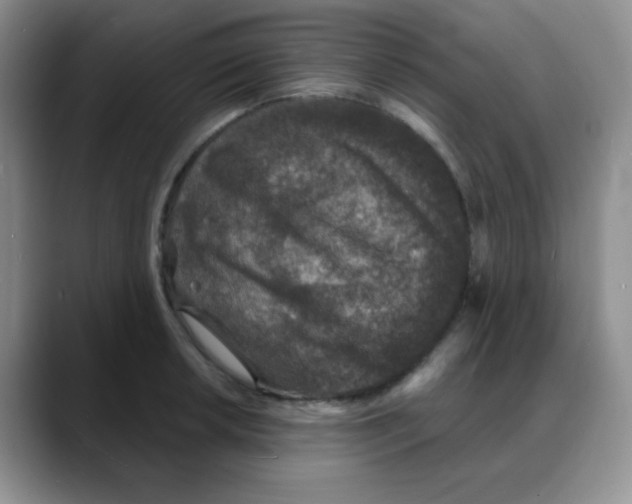 X0000088081042200706081725