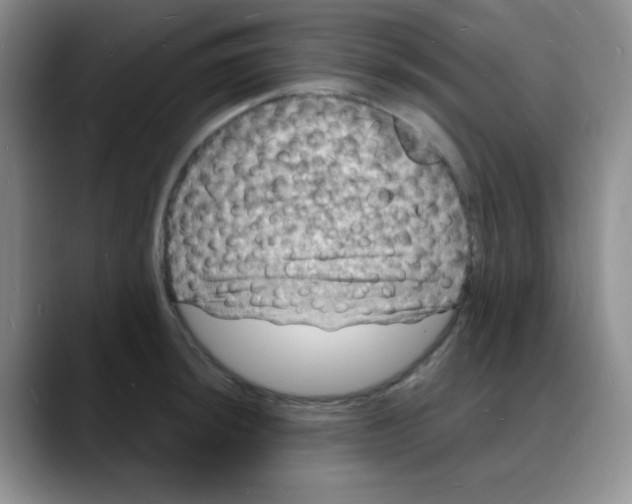 X0000088081044200706081725