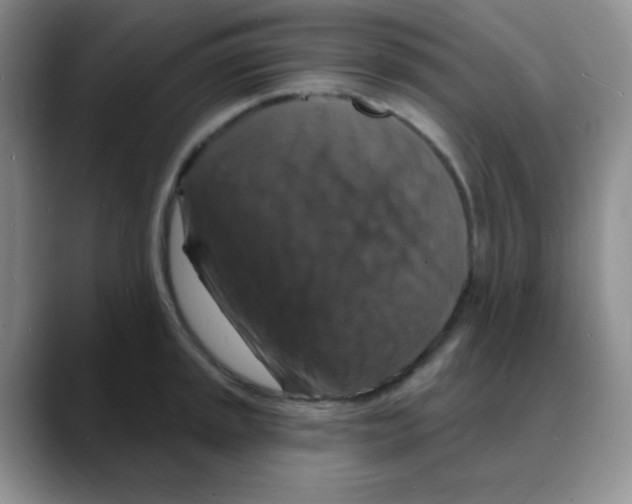 X0000088081045200706081725