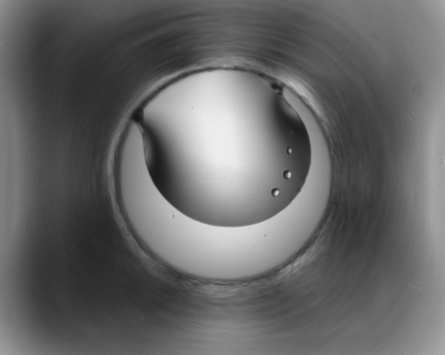 X0000088081046200706081726