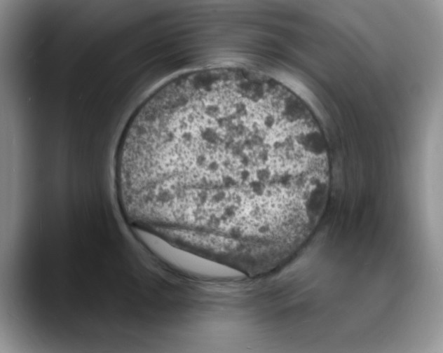 X0000088081047200706081726