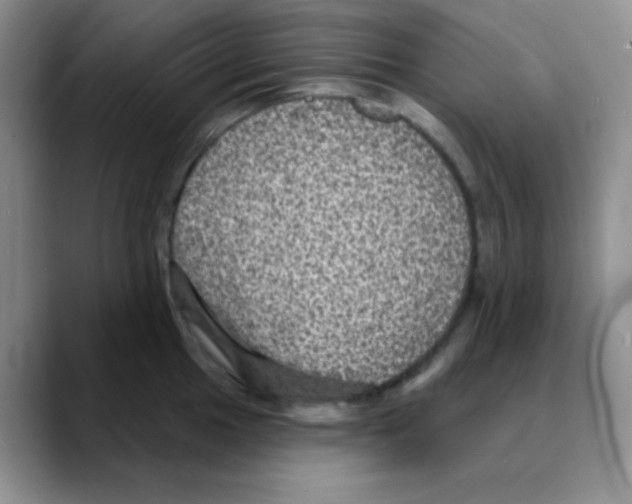 X0000088081049200706081726