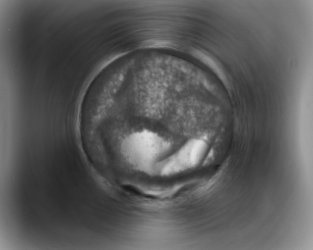 X0000088081050200706081726