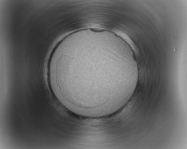 X0000088081051200706081726
