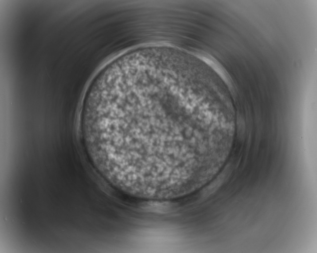 X0000088081052200706081726