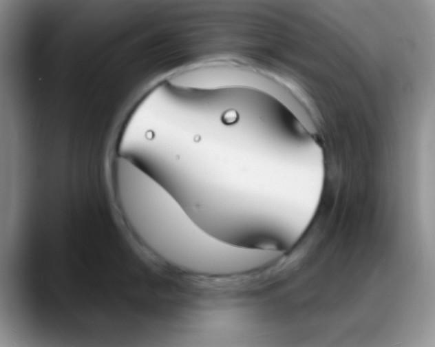 X0000088081054200706081726