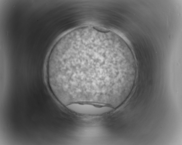 X0000088081056200706081726