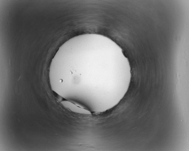 X0000088081057200706081725