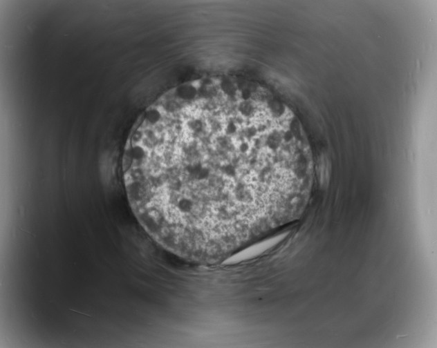 X0000088081059200706081725