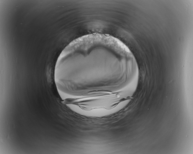 X0000088081060200706081725