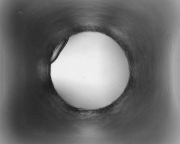 X0000088081061200706081725