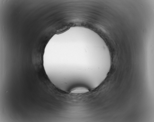 X0000088081062200706081725