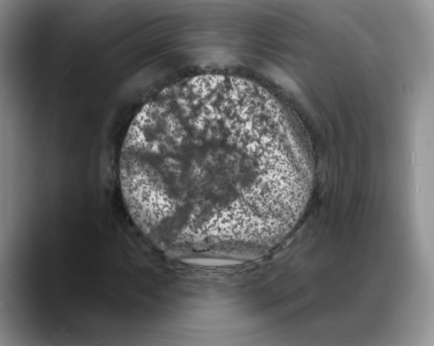 X0000088081063200706081725