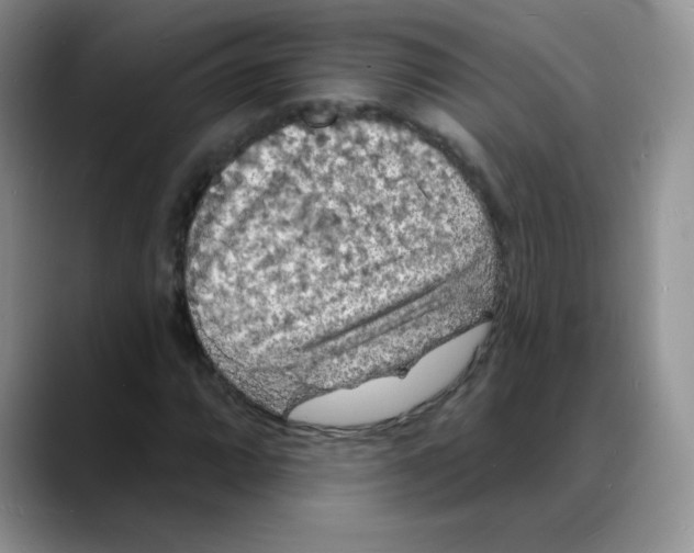 X0000088081064200706081725