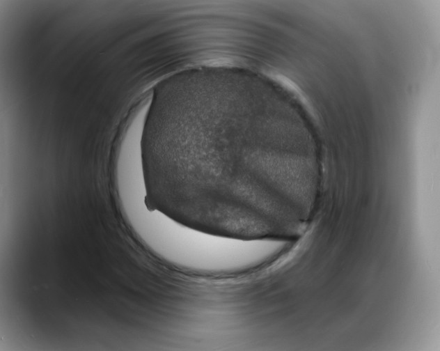 X0000088081065200706081725