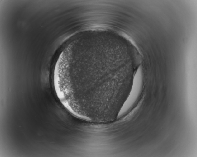 X0000088081066200706081725