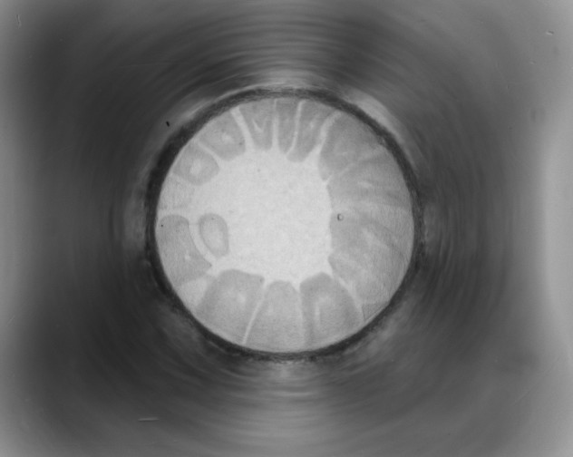 X0000088081067200706081725