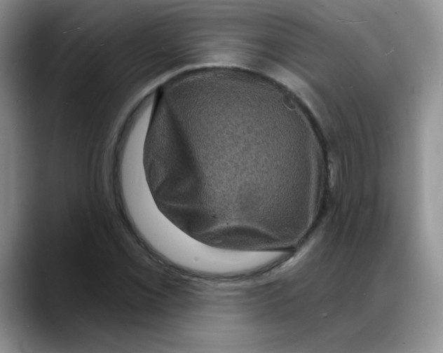 X0000088081069200706081725