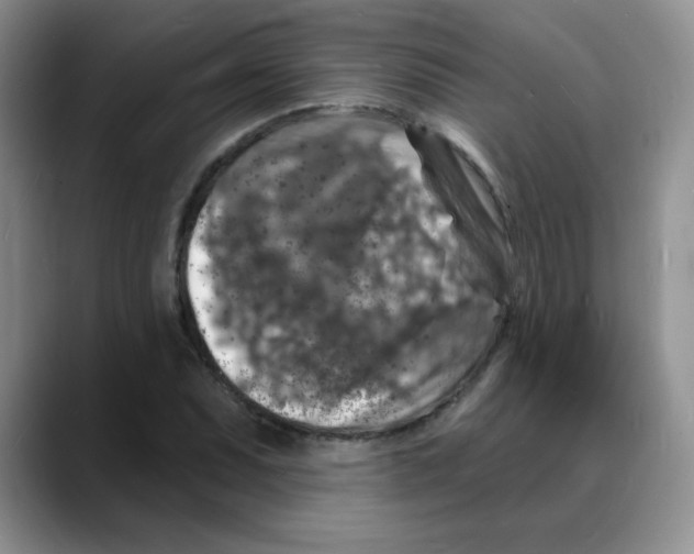 X0000088081071200706081725