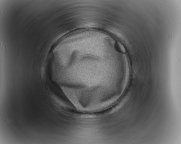 X0000088081073200706081725