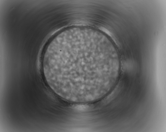 X0000088081074200706081725