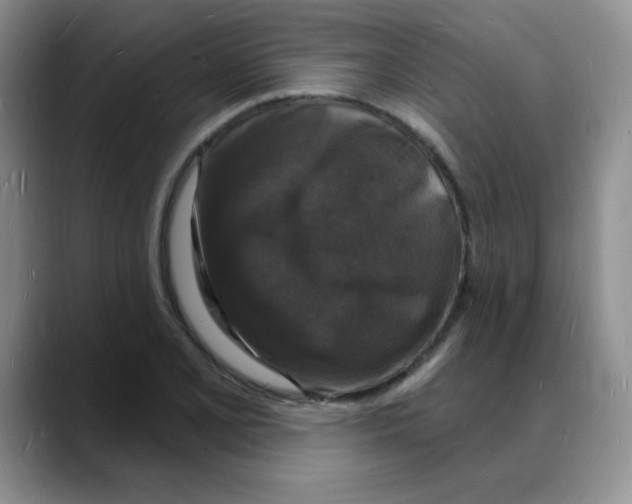 X0000088081077200706081725