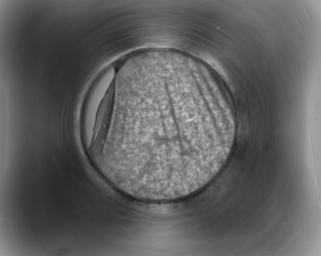 X0000088081080200706081725
