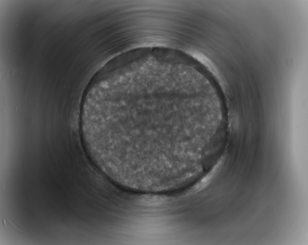 X0000088081081200706081725