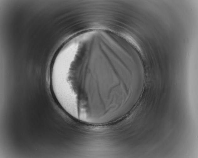 X0000088081084200706081725