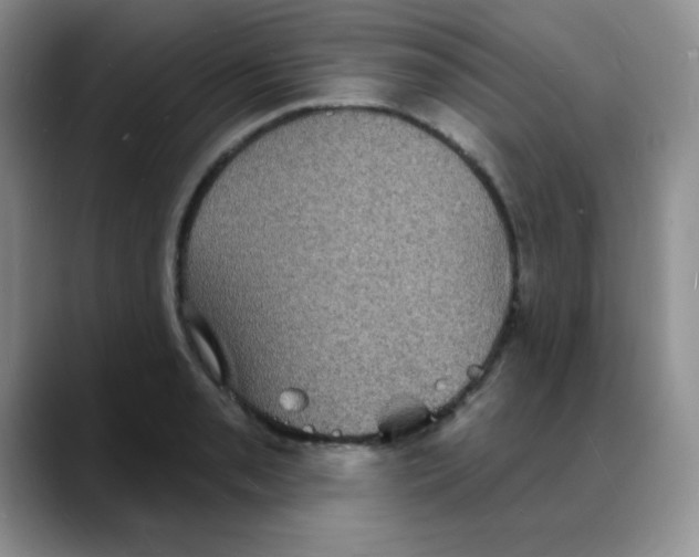 X0000088081085200706081725