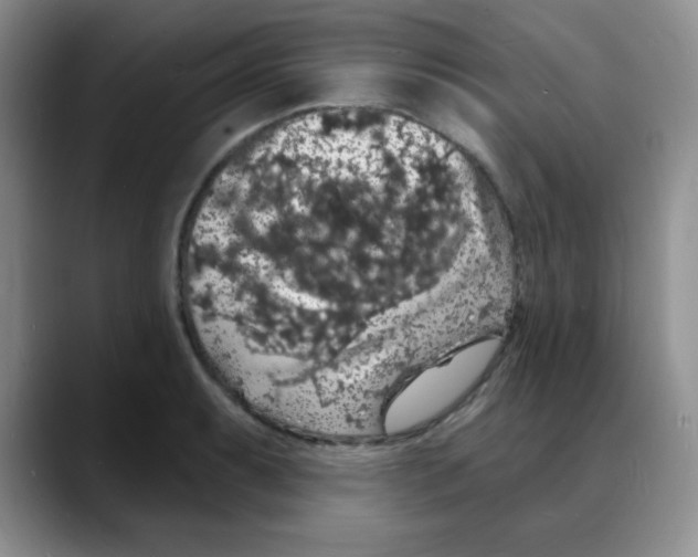 X0000088081087200706081725