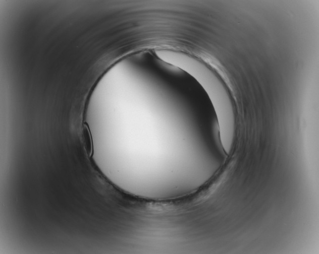 X0000088081089200706081725