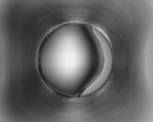 X0000088081093200706081725