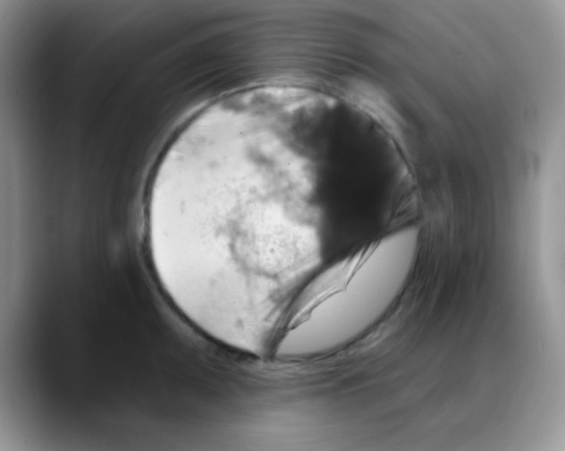 X0000088081095200706081725