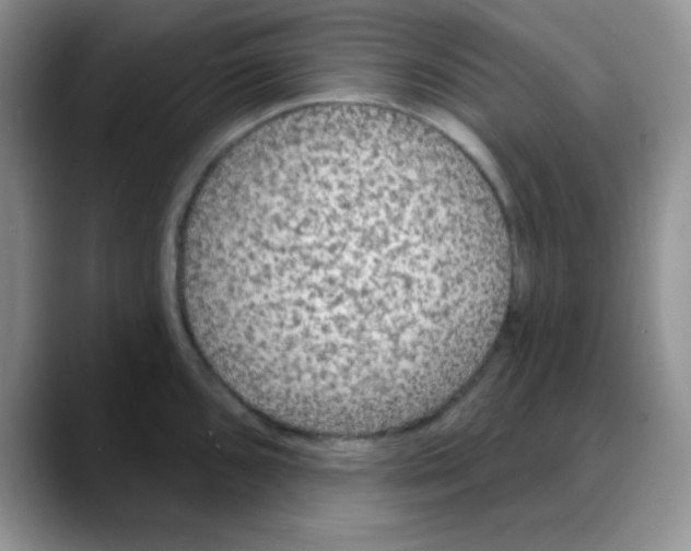 X0000088081096200706081724