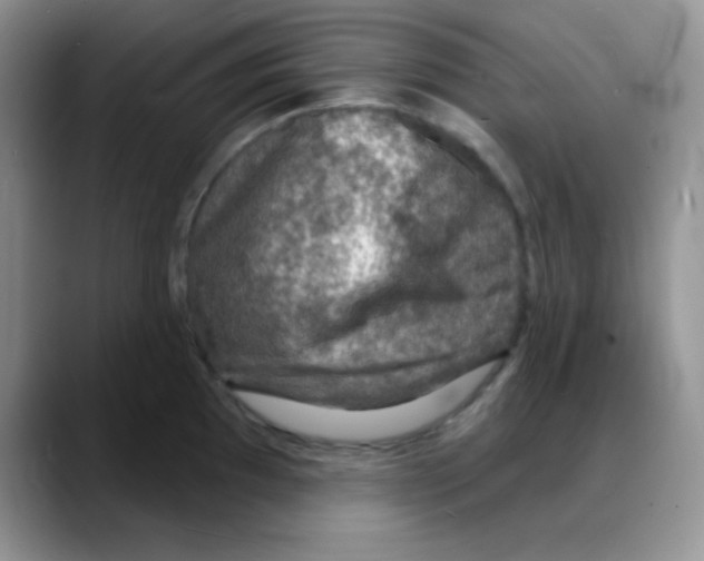 X0000088081097200706081724