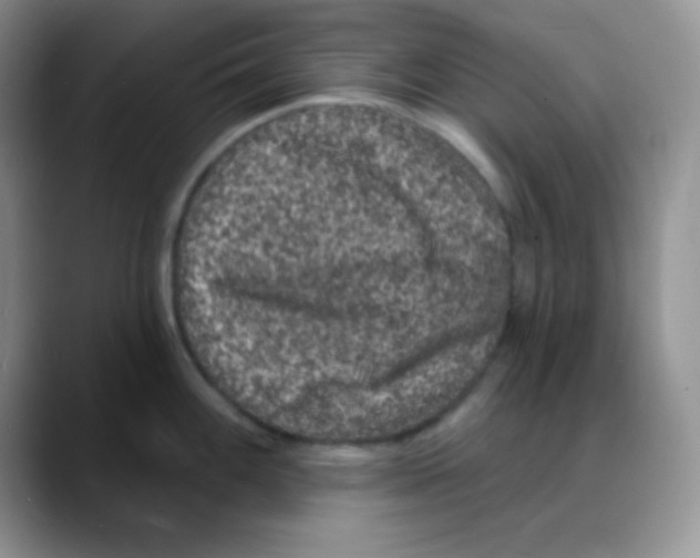 X0000088081100200706081724