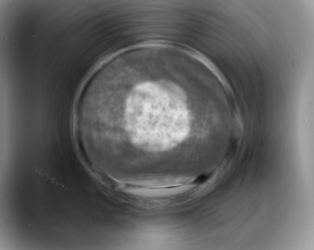 X0000088081101200706081724