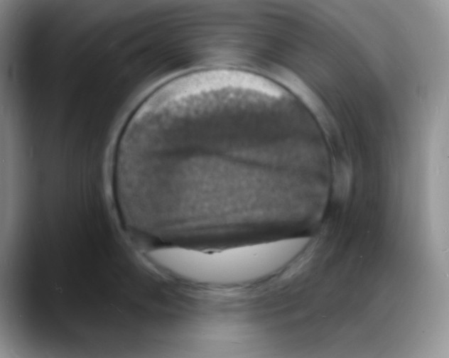 X0000088081102200706081724